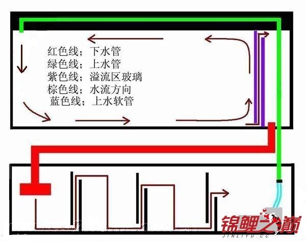 水族箱過濾技術(shù)的演變歷程：底濾魚缸與上濾魚缸各有其特點和適用場景