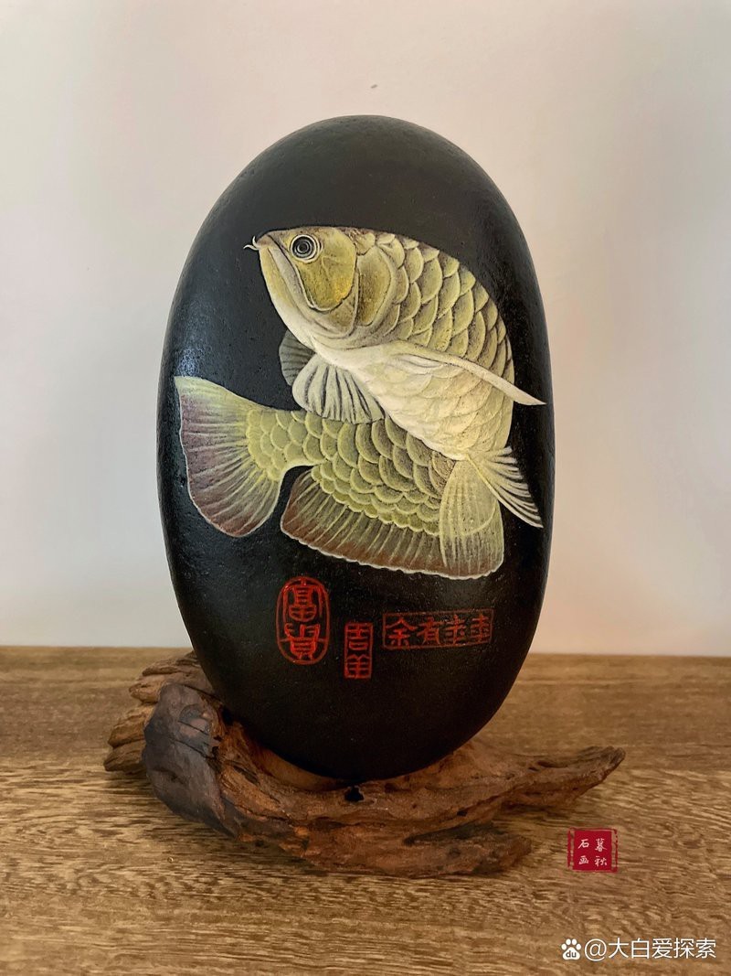 金龍魚在網(wǎng)絡(luò)流行語中代表什么？