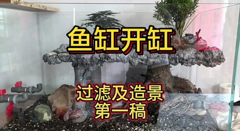 魚缸組裝視頻教程 魚缸組裝視頻教程 龍魚論壇 第2張