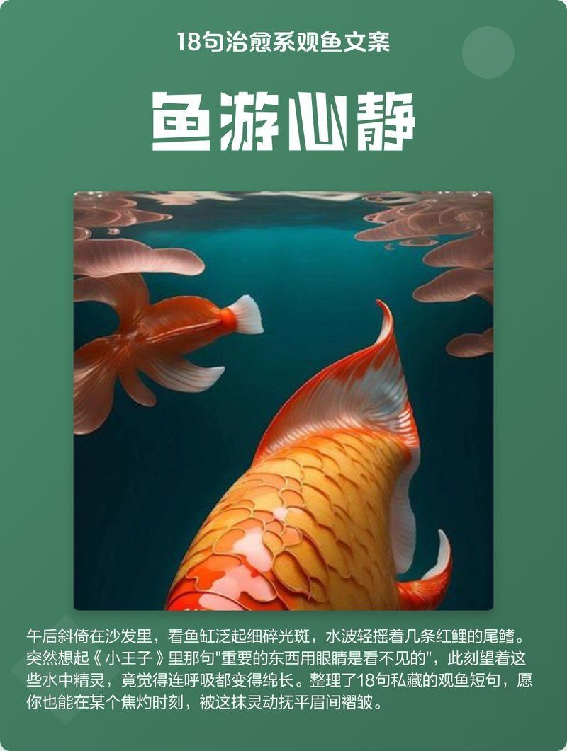 觀魚禪意最經典十句話