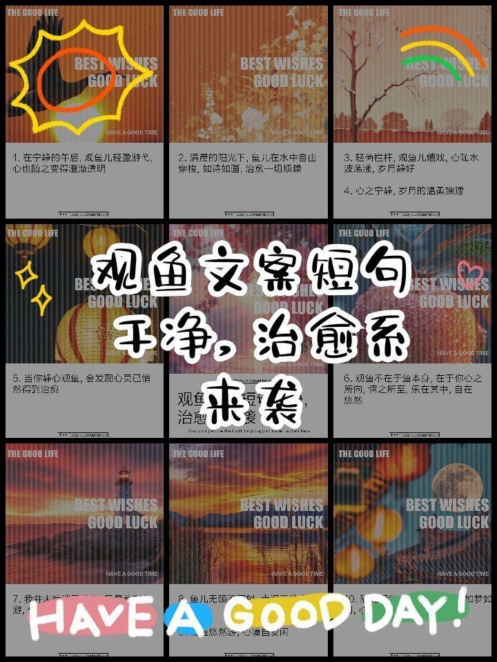 觀魚禪意最經典十句話