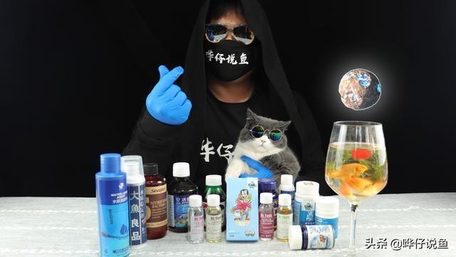 高密市水景記魚缸店