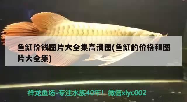 九個(gè)月的時(shí)間一晃而過(guò)小龍也長(zhǎng)大了