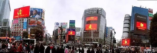 撫寧區城關花緣鮮花店（撫寧區城關花緣鮮花店地址）
