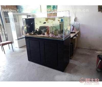 公認(rèn)最好的魚(yú)缸品牌（魚(yú)缸十大品牌排行榜）