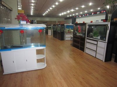 廣饒二手魚缸出售信息（廣饒地區二手魚缸交易的安全指南）