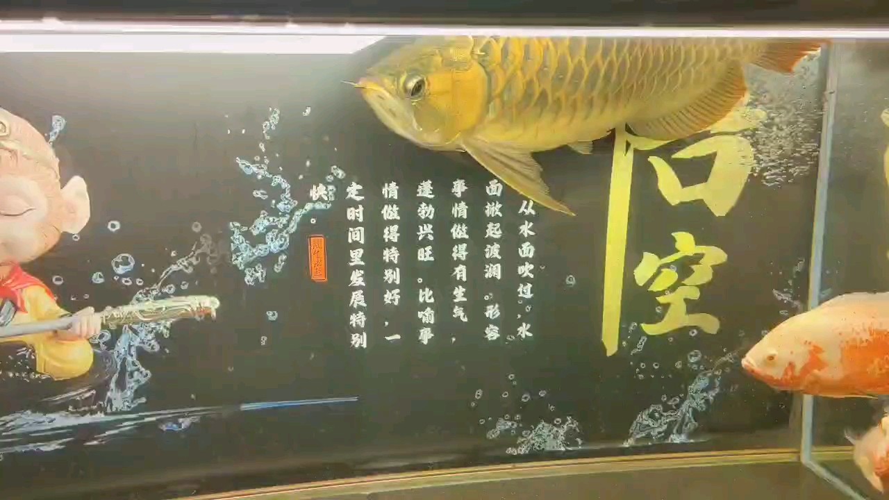 五年兩個月