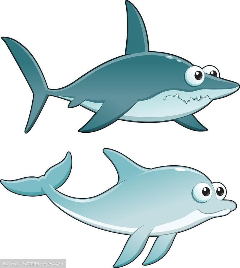 海豚和鯊魚區別圖片