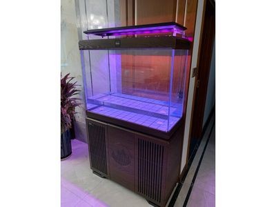 德國德克魚缸設計理念是什么德國德克魚缸設計理念是什么：德國德克魚缸生產廠家