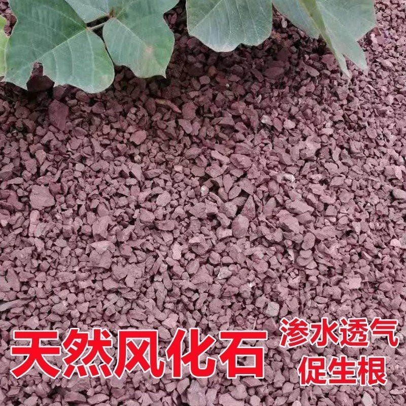 風化土最忌三種植物