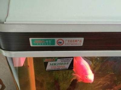 廣東佳寶魚缸多少錢一平方：廣東佳寶魚缸價格信息