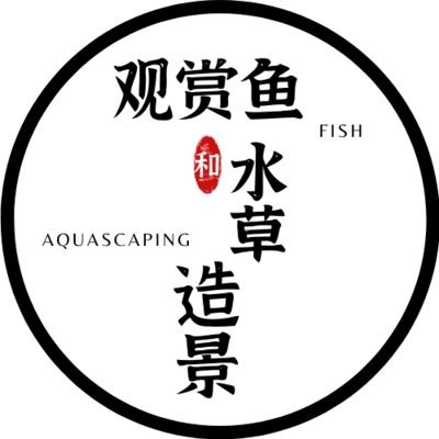 魚缸擺放位置的科學原理：家居風水魚缸擺放位置