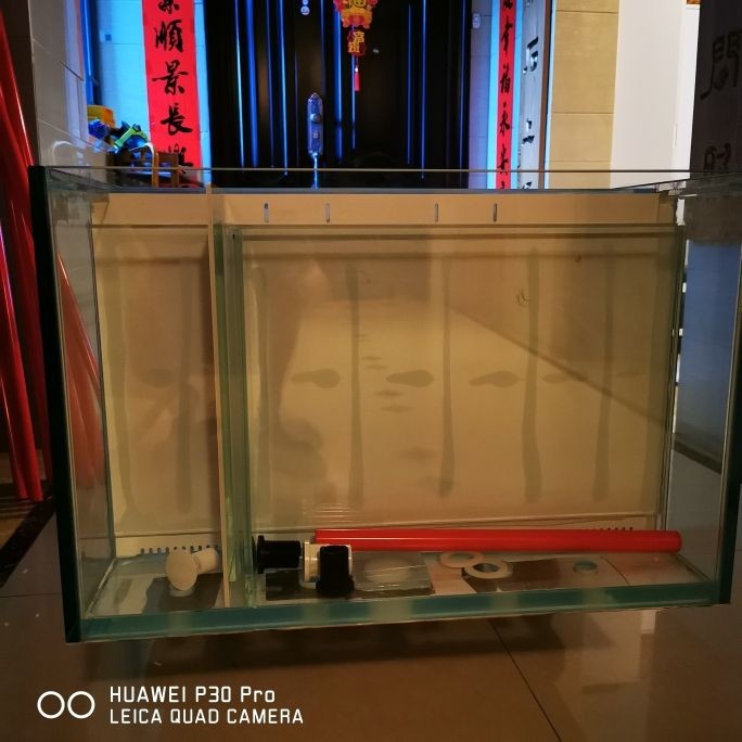 風(fēng)水魚缸適合放在什么位置好（不同形狀魚缸的風(fēng)水意義）