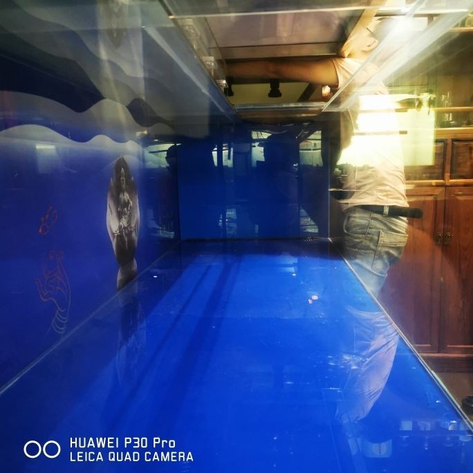 風(fēng)水魚缸適合放在什么位置好（不同形狀魚缸的風(fēng)水意義）