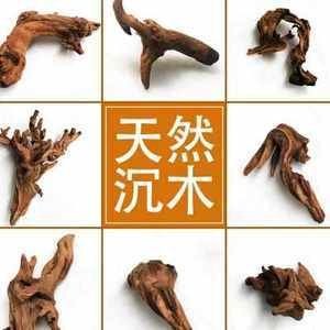 花小魚魚缸怎么樣（花小魚品牌的背后故事） 花小魚魚缸怎么樣（花小魚品牌的背后故事） 魚缸百科 第3張