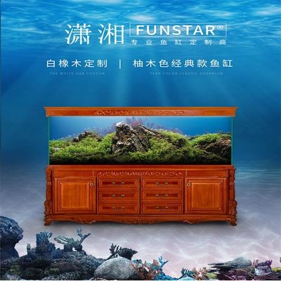 龍魚缸怎么清洗視頻（清洗龍魚缸的基本步驟）