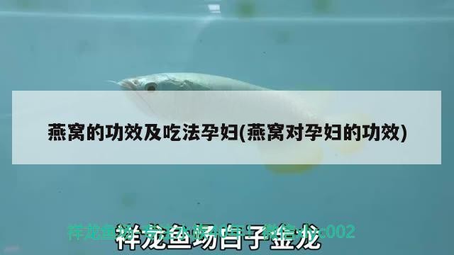 廣州炫桔商貿店