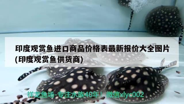 廣州炫桔商貿店