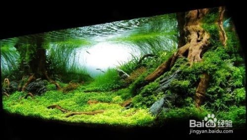 白城市孫上然生態水族館（白城市孫乃巖）