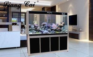 黑水魚缸的風水與養護技巧：養黑水魚缸數量與風水講究在風水學中，養魚的數量與風水關系