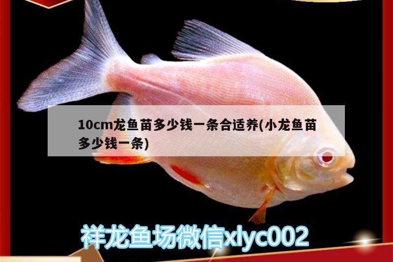 銀龍魚和紅龍魚哪個貴一些銀龍魚和紅龍魚的價格比較，銀龍魚和紅龍魚哪個貴一些及呢？