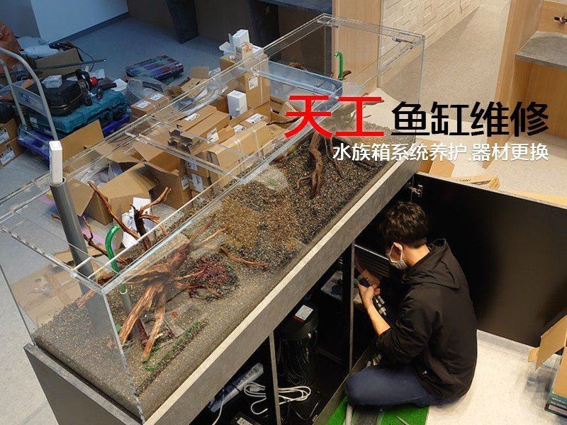 附近魚缸維修24小時上門 附近魚缸維修24小時上門 龍魚論壇 第1張