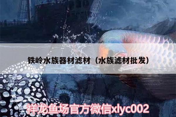 鐵嶺水族器材濾材（水族濾材批發） 鐵嶺水族器材濾材（水族濾材批發） 銀龍魚百科