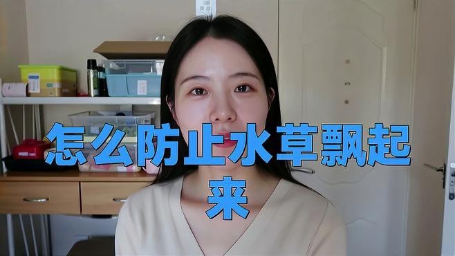 如何固定龍魚缸里的水草？