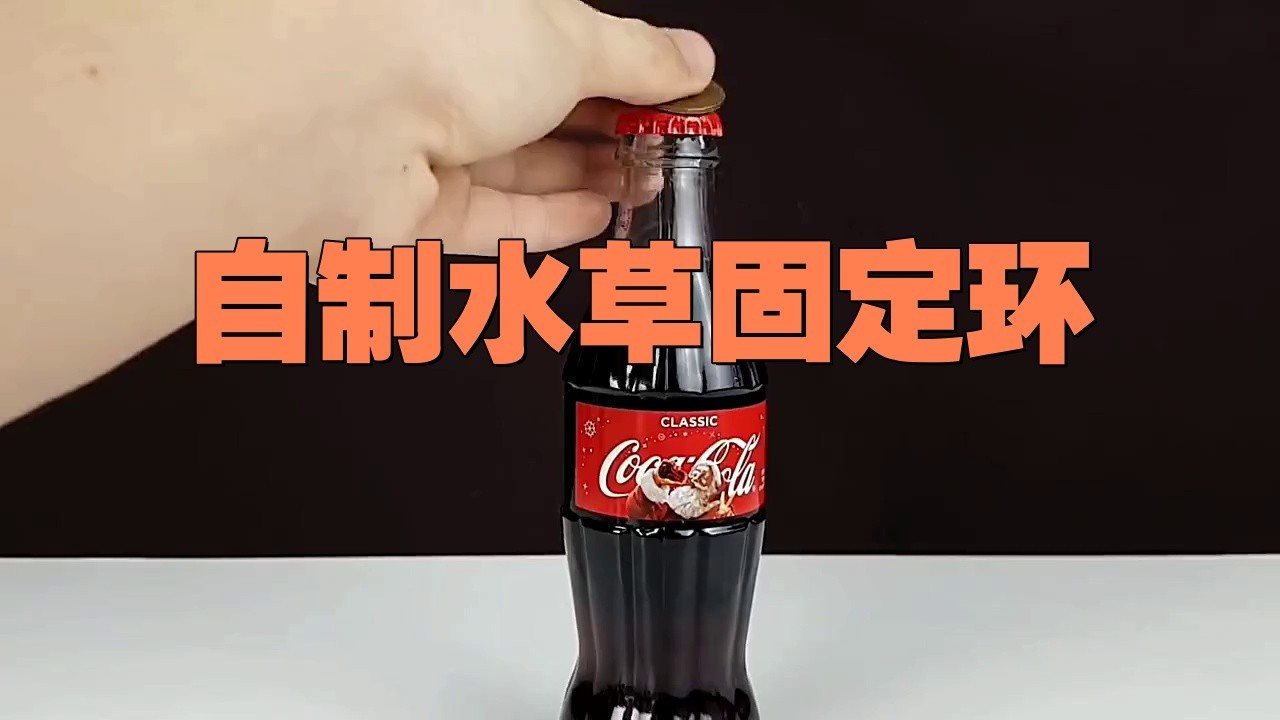 如何固定龍魚缸里的水草？