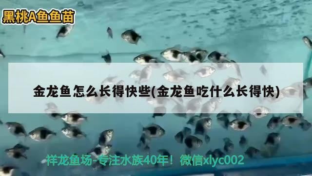 定做大型魚缸上海店(上海最大的魚缸市場) 全國水族館企業名錄 第2張 定做大型魚缸上海店(上海最大的魚缸市場) 定做大型魚缸上海店(上海最大的魚缸市場) 全國水族館企業名錄 第2張