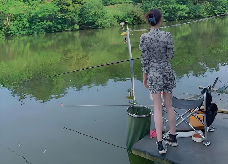 雙線魚為何不能養(yǎng)