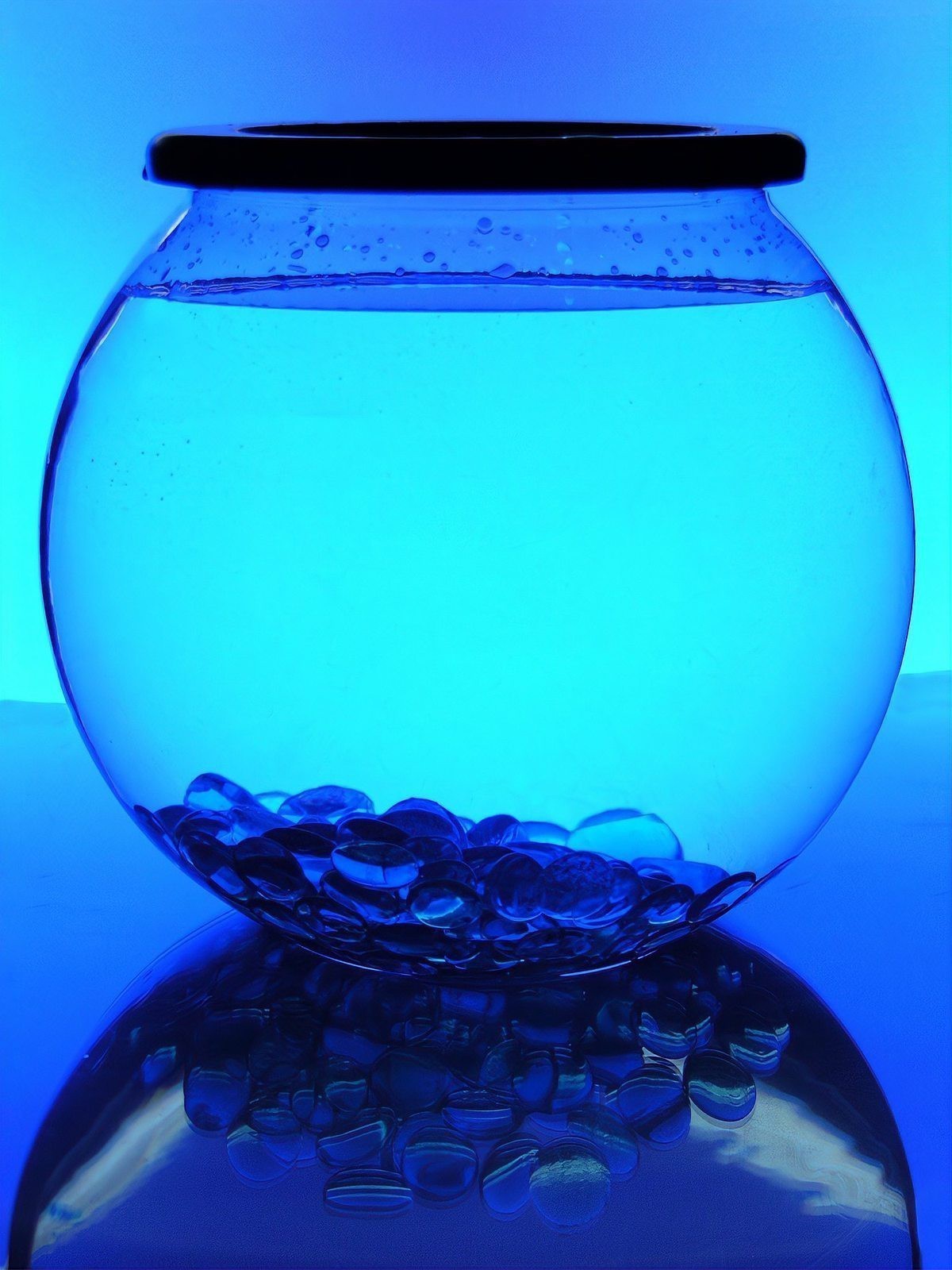 魚缸顏色風水禁忌 魚缸顏色風水禁忌 龍魚論壇 第4張