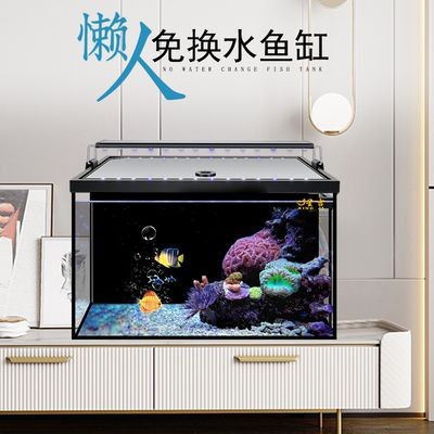 定制魚缸廠家 淘寶哪家好一點(如何找到一家專業的定制魚缸廠家) 魚缸百科 第1張 定制魚缸廠家 淘寶哪家好一點(如何找到一家專業的定制魚缸廠家) 定制魚缸廠家 淘寶哪家好一點(如何找到一家專業的定制魚缸廠家) 魚缸百科 第1張