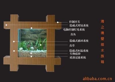 魚缸循環系統的設計要點：魚缸循環系統的設計要點包括以下幾個方面，魚缸循環系統的設計要點