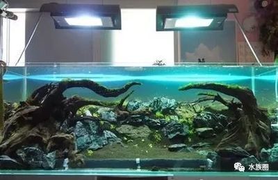 魚缸循環系統的設計要點：魚缸循環系統的設計要點包括以下幾個方面，魚缸循環系統的設計要點