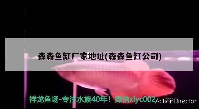 森森魚(yú)缸公司簡(jiǎn)介：廣東<strong><mark>佛山</mark></strong>森森魚(yú)缸