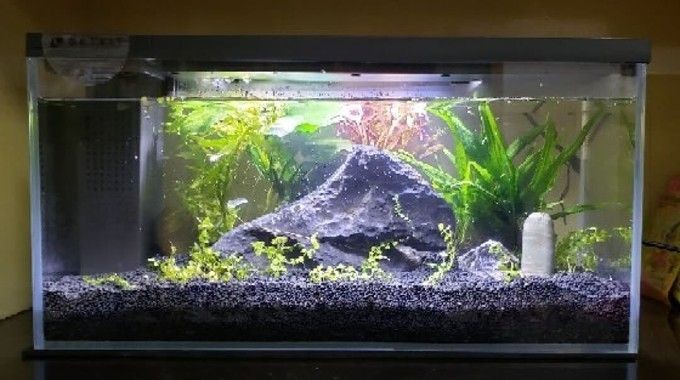 小佩魚缸水泵不工作怎么辦:小佩魚缸水泵不工作是由于電源問題、堵塞、內(nèi)部零件故障等原因造成的 魚缸百科 第3張 小佩魚缸水泵不工作怎么辦:小佩魚缸水泵不工作是由于電源問題、堵塞、內(nèi)部零件故障等原因造成的 小佩魚缸水泵不工作怎么辦:小佩魚缸水泵不工作是由于電源問題、堵塞、內(nèi)部零件故障等原因造成的 魚缸百科 第3張