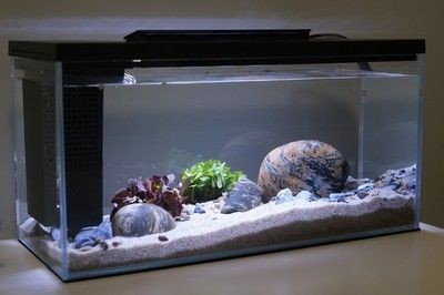 小佩魚缸水泵不工作怎么辦:小佩魚缸水泵不工作是由于電源問題、堵塞、內(nèi)部零件故障等原因造成的 魚缸百科 第4張 小佩魚缸水泵不工作怎么辦:小佩魚缸水泵不工作是由于電源問題、堵塞、內(nèi)部零件故障等原因造成的 小佩魚缸水泵不工作怎么辦:小佩魚缸水泵不工作是由于電源問題、堵塞、內(nèi)部零件故障等原因造成的 魚缸百科 第4張