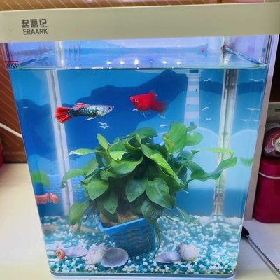 小佩魚缸水泵不工作怎么辦:小佩魚缸水泵不工作是由于電源問題、堵塞、內(nèi)部零件故障等原因造成的 魚缸百科 第1張 小佩魚缸水泵不工作怎么辦:小佩魚缸水泵不工作是由于電源問題、堵塞、內(nèi)部零件故障等原因造成的 小佩魚缸水泵不工作怎么辦:小佩魚缸水泵不工作是由于電源問題、堵塞、內(nèi)部零件故障等原因造成的 魚缸百科 第1張