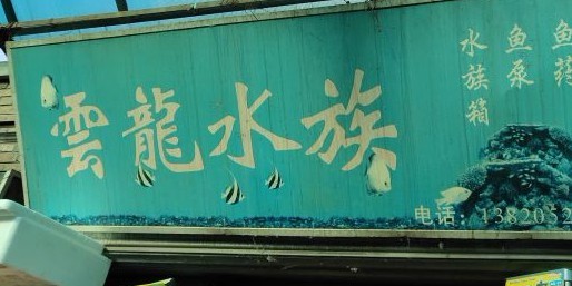 天津水族批發市場祥龍魚場 天津水族批發市場祥龍魚場 龍魚百科 第8張