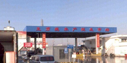 天津水族批發市場祥龍魚場 天津水族批發市場祥龍魚場 龍魚百科 第7張