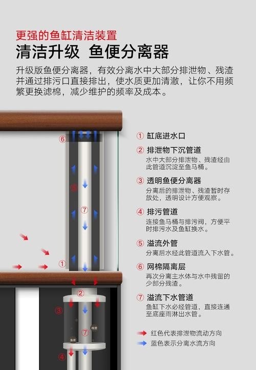 龍魚怎么養殖方法圖解