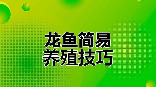 龍魚怎么養殖方法圖解