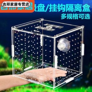 廣州小魚魚缸專賣店在哪里啊（廣州小魚魚缸專賣店）