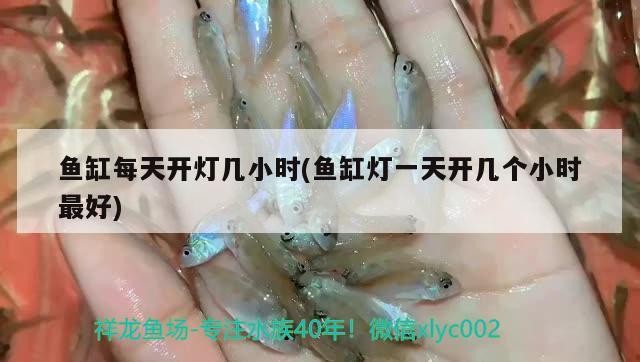蘭州城關區(qū)雁灘花魚市場張麗景水族店