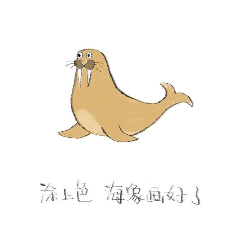 海象可愛圖片