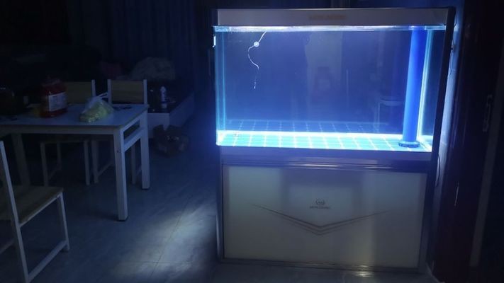 廣西海洋興業科技有限公司（廣西海洋興業科技有限公司招聘）
