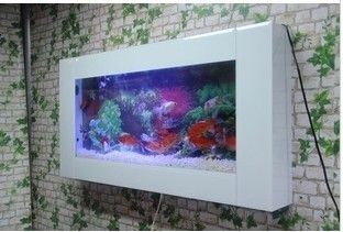 龍魚缸配什么魚好看：如何選擇適合與龍魚混養的魚類