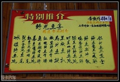 龍魚宴是什么（龍魚宴與鱷魚的區別）