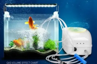 元寶山區(qū)海洋晶品水族館（元寶山區(qū)海洋晶品水族館電話） 元寶山區(qū)海洋晶品水族館（元寶山區(qū)海洋晶品水族館電話） 全國水族館企業(yè)名錄